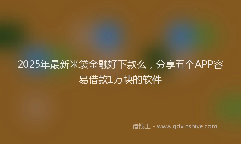 2025年最新米袋金融好下款么，分享五个APP容易借款1万块的软件