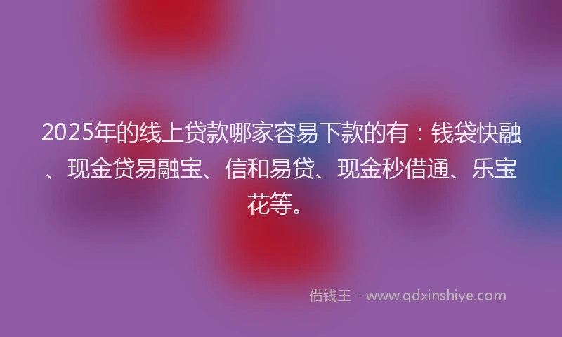 2025年的线上贷款哪家容易下款的有：钱袋快融、现金贷易融宝、信和易贷、现金秒借通、乐宝花等。