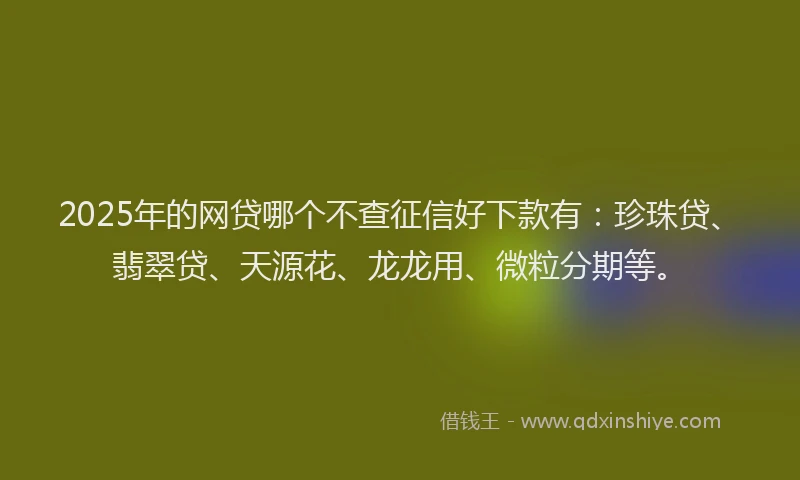 2025年的网贷哪个不查征信好下款有：珍珠贷、翡翠贷、天源花、龙龙用、微粒分期等。