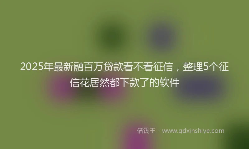 2025年最新融百万贷款看不看征信，整理5个征信花居然都下款了的软件