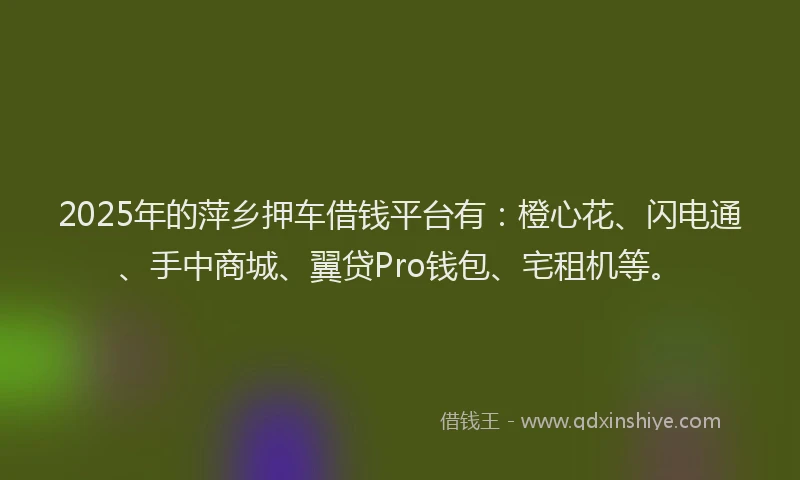 2025年的萍乡押车借钱平台有：橙心花、闪电通、手中商城、翼贷Pro钱包、宅租机等。