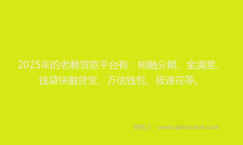 2025年的老赖贷款平台有:树融分期、金满堂、钱袋快融贷宝、万信钱包、极速花等。