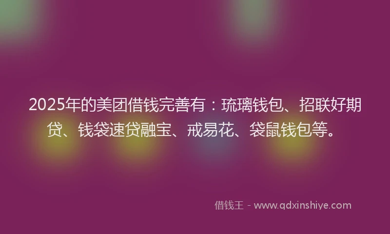 2025年的美团借钱完善有：琉璃钱包、招联好期贷、钱袋速贷融宝、戒易花、袋鼠钱包等。