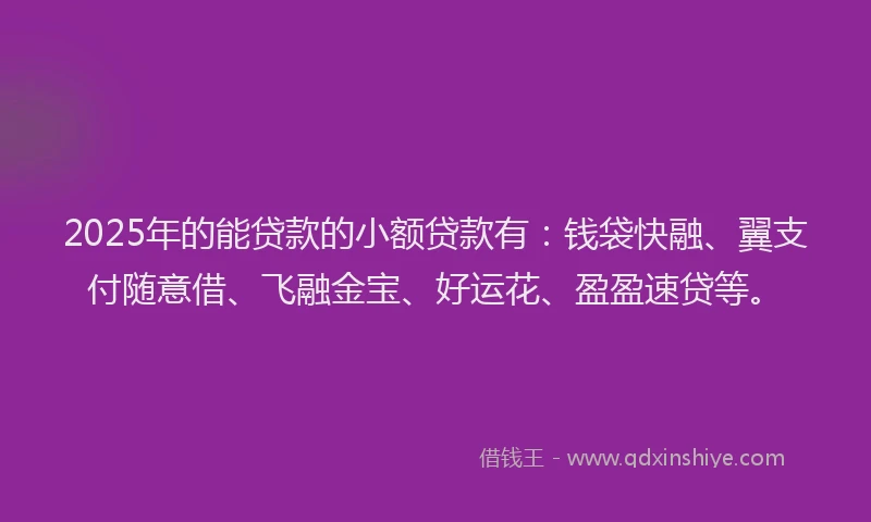2025年的能贷款的小额贷款有：钱袋快融、翼支付随意借、飞融金宝、好运花、盈盈速贷等。