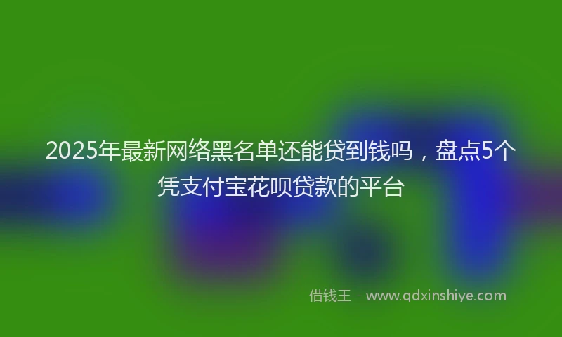 2025年最新网络黑名单还能贷到钱吗，盘点5个凭支付宝花呗贷款的平台