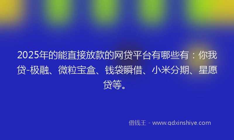 2025年的能直接放款的网贷平台有哪些有：你我贷-极融、微粒宝盒、钱袋瞬借、小米分期、星愿贷等。