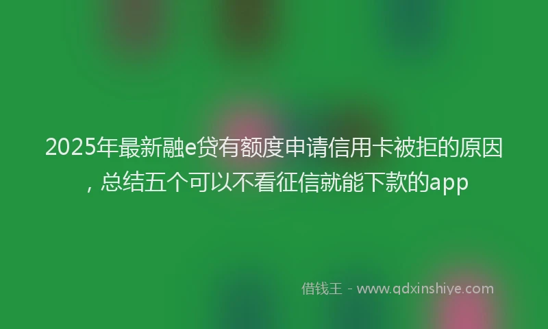 2025年最新融e贷有额度申请信用卡被拒的原因，总结五个可以不看征信就能下款的app