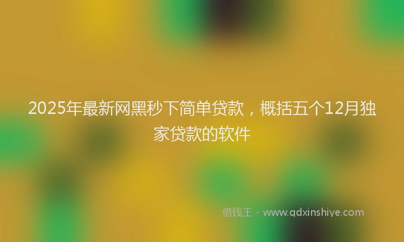 2025年最新网黑秒下简单贷款，概括五个12月独家贷款的软件