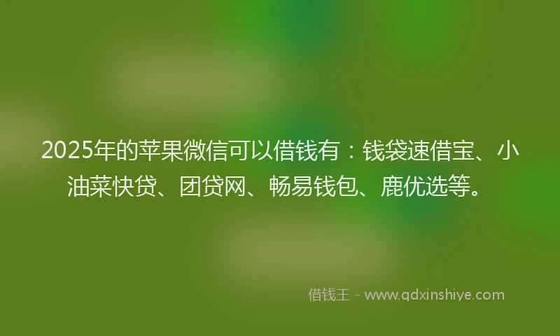 2025年的苹果微信可以借钱有：钱袋速借宝、小油菜快贷、团贷网、畅易钱包、鹿优选等。