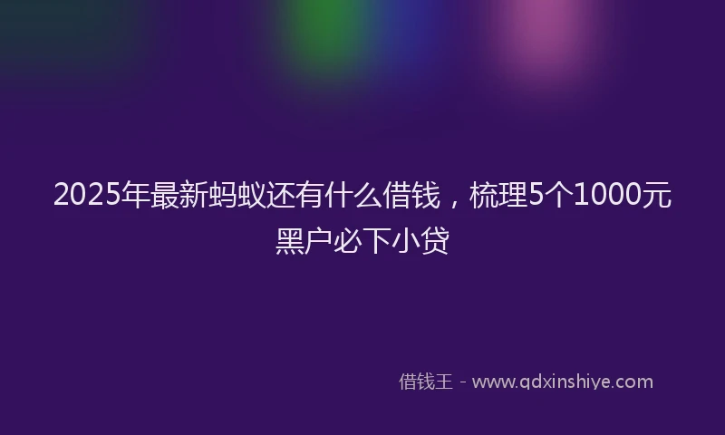 2025年最新蚂蚁还有什么借钱，梳理5个1000元黑户必下小贷