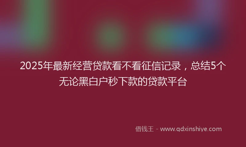 2025年最新经营贷款看不看征信记录，总结5个无论黑白户秒下款的贷款平台