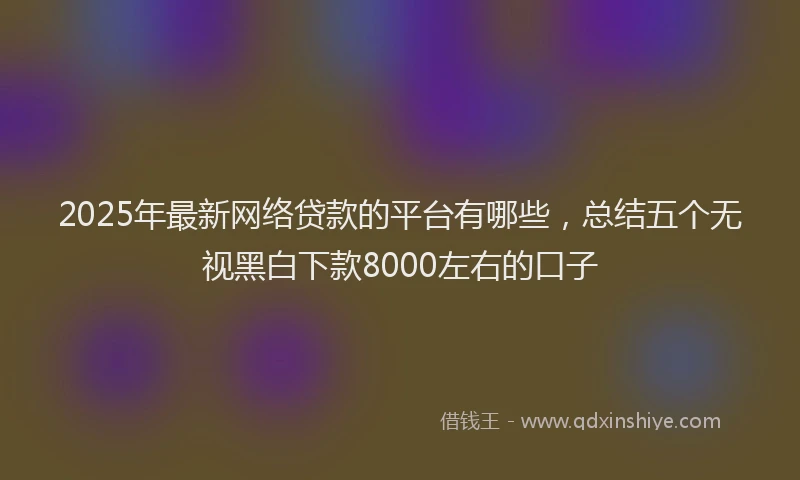 2025年最新网络贷款的平台有哪些，总结五个无视黑白下款8000左右的口子