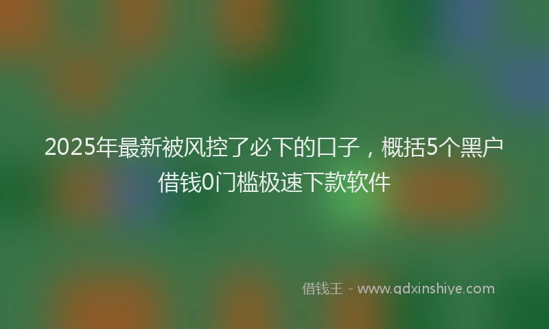 2025年最新被风控了必下的口子，概括5个黑户借钱0门槛极速下款软件