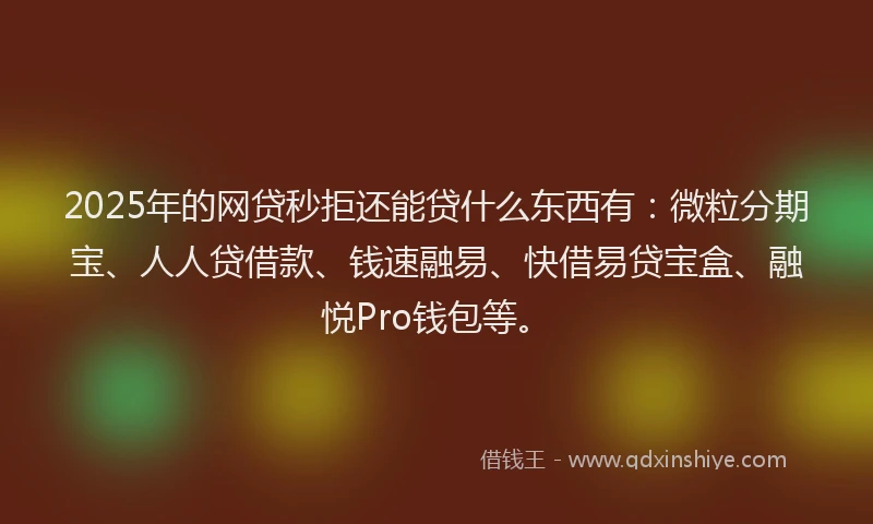 2025年的网贷秒拒还能贷什么东西有：微粒分期宝、人人贷借款、钱速融易、快借易贷宝盒、融悦Pro钱包等。