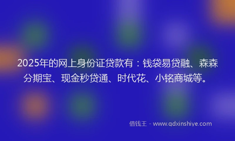 2025年的网上身份证贷款有：钱袋易贷融、森森分期宝、现金秒贷通、时代花、小铭商城等。