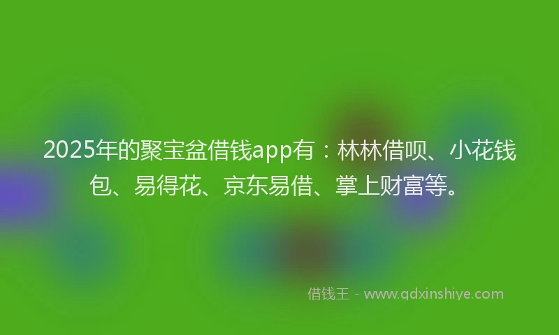 2025年的聚宝盆借钱app有：林林借呗、小花钱包、易得花、京东易借、掌上财富等。