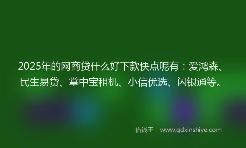 2025年的网商贷什么好下款快点呢有：爱鸿森、民生易贷、掌中宝租机、小信优选、闪银通等。