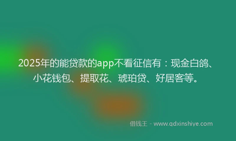 2025年的能贷款的app不看征信有：现金白鸽、小花钱包、提取花、琥珀贷、好居客等。