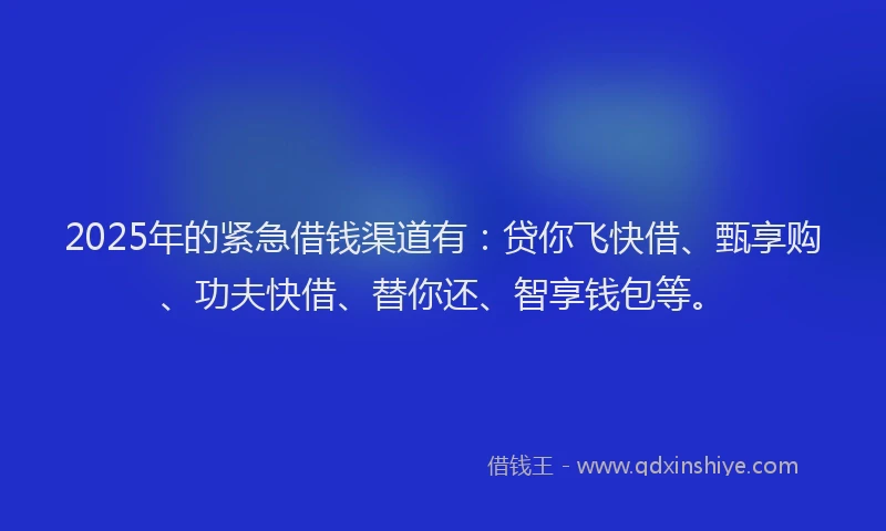 2025年的紧急借钱渠道有：贷你飞快借、甄享购、功夫快借、替你还、智享钱包等。