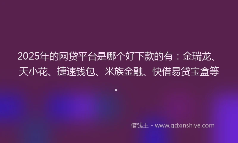 2025年的网贷平台是哪个好下款的有：金瑞龙、天小花、捷速钱包、米族金融、快借易贷宝盒等。