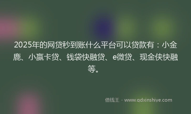 2025年的网贷秒到账什么平台可以贷款有：小金鹿、小赢卡贷、钱袋快融贷、e微贷、现金侠快融等。