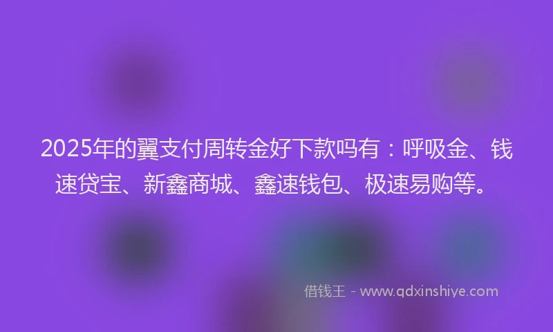 2025年的翼支付周转金好下款吗有：呼吸金、钱速贷宝、新鑫商城、鑫速钱包、极速易购等。