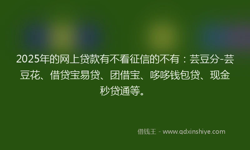 2025年的网上贷款有不看征信的不有：芸豆分-芸豆花、借贷宝易贷、团借宝、哆哆钱包贷、现金秒贷通等。