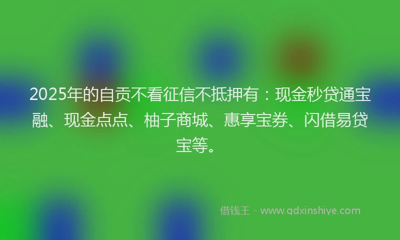2025年的自贡不看征信不抵押有:现金秒贷通宝融、现金点点、柚子商城、惠享宝券、闪借易贷宝等。