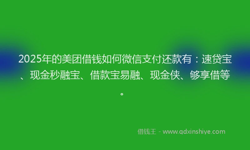 2025年的美团借钱如何微信支付还款有：速贷宝、现金秒融宝、借款宝易融、现金侠、够享借等。
