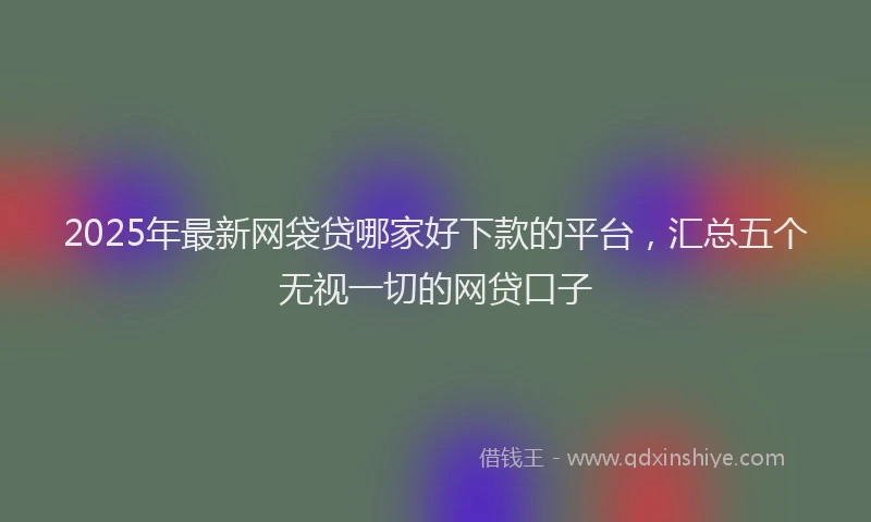 2025年最新网袋贷哪家好下款的平台，汇总五个无视一切的网贷口子