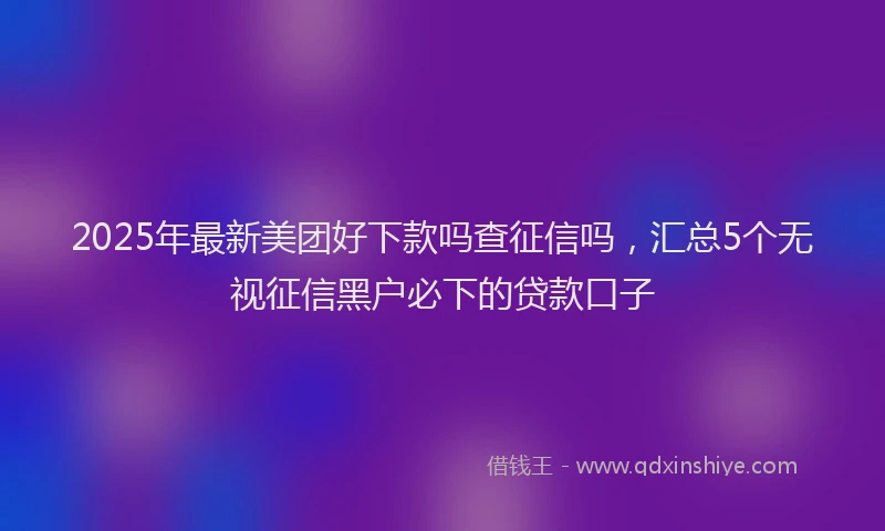 2025年最新美团好下款吗查征信吗，汇总5个无视征信黑户必下的贷款口子