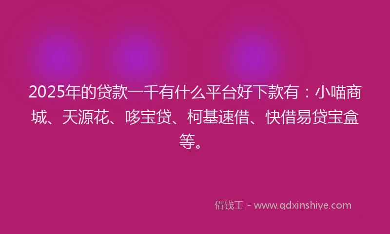 2025年的贷款一千有什么平台好下款有：小喵商城、天源花、哆宝贷、柯基速借、快借易贷宝盒等。