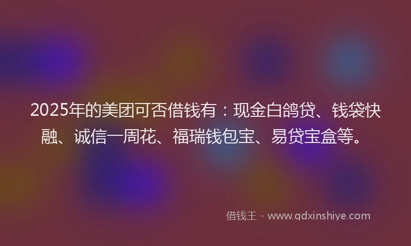 2025年的美团可否借钱有：现金白鸽贷、钱袋快融、诚信一周花、福瑞钱包宝、易贷宝盒等。