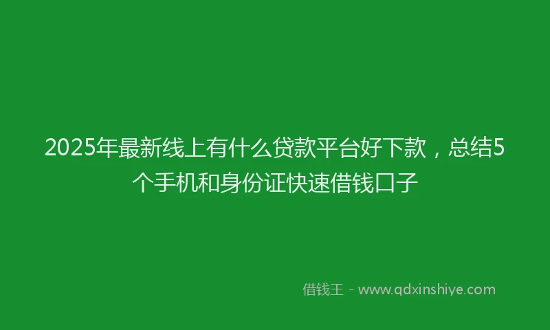 2025年最新线上有什么贷款平台好下款，总结5个手机和身份证快速借钱口子