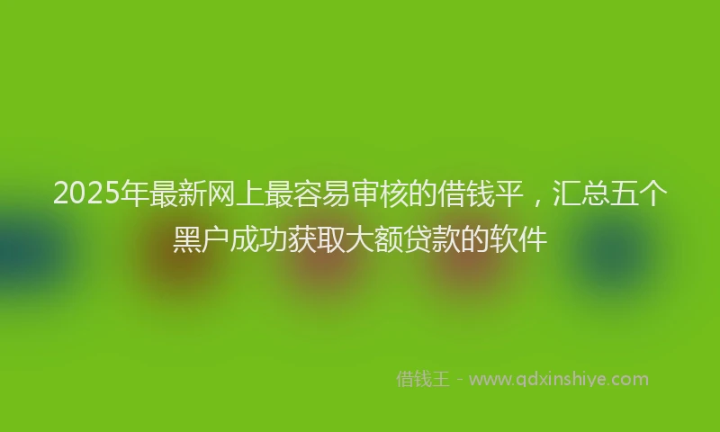 2025年最新网上最容易审核的借钱平，汇总五个黑户成功获取大额贷款的软件