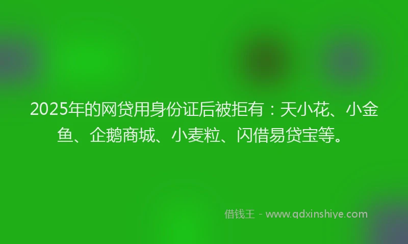 2025年的网贷用身份证后被拒有：天小花、小金鱼、企鹅商城、小麦粒、闪借易贷宝等。