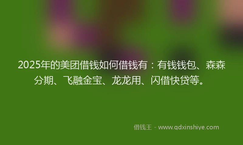 2025年的美团借钱如何借钱有：有钱钱包、森森分期、飞融金宝、龙龙用、闪借快贷等。