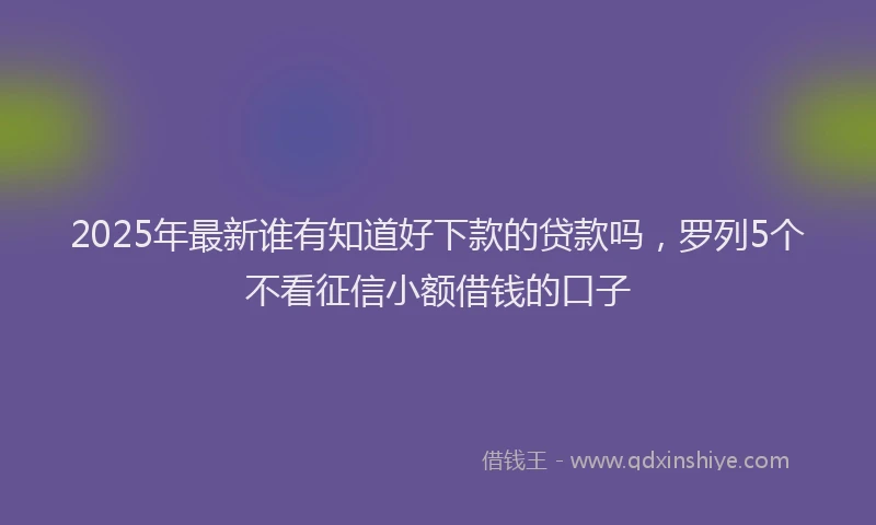 2025年最新谁有知道好下款的贷款吗，罗列5个不看征信小额借钱的口子