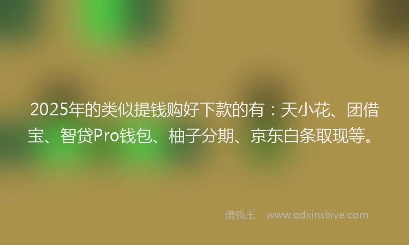 2025年的类似提钱购好下款的有：天小花、团借宝、智贷Pro钱包、柚子分期、京东白条取现等。
