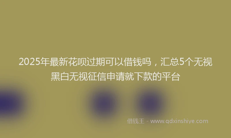 2025年最新花呗过期可以借钱吗，汇总5个无视黑白无视征信申请就下款的平台