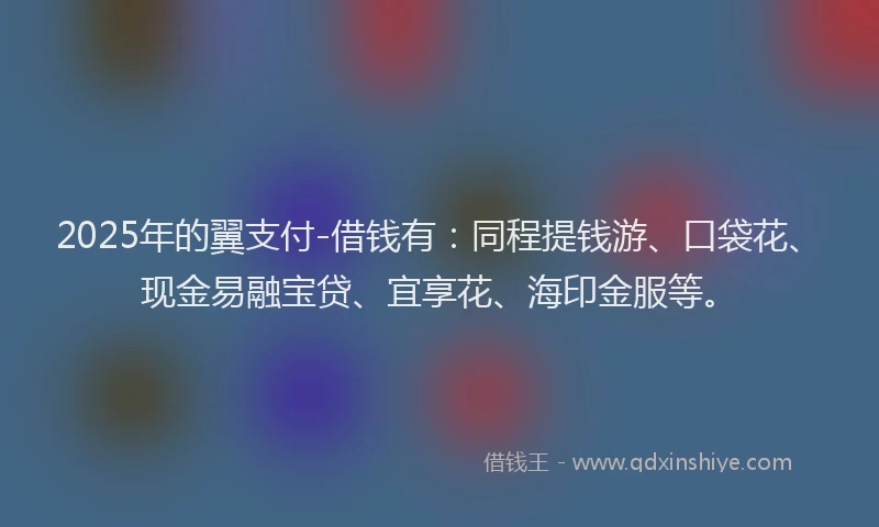 2025年的翼支付-借钱有：同程提钱游、口袋花、现金易融宝贷、宜享花、海印金服等。