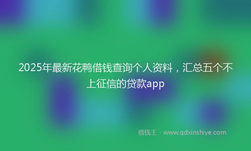 2025年最新花鸭借钱查询个人资料，汇总五个不上征信的贷款app