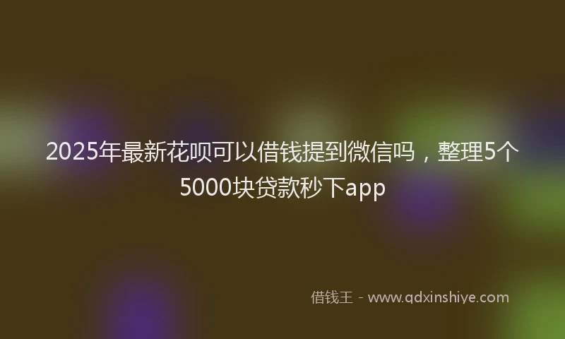 2025年最新花呗可以借钱提到微信吗，整理5个5000块贷款秒下app