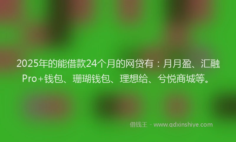 2025年的能借款24个月的网贷有：月月盈、汇融Pro+钱包、珊瑚钱包、理想给、兮悦商城等。