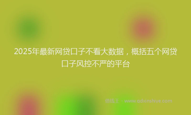 2025年最新网贷口子不看大数据，概括五个网贷口子风控不严的平台