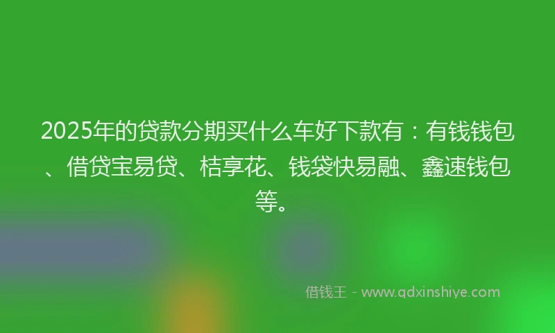 2025年的贷款分期买什么车好下款有：有钱钱包、借贷宝易贷、桔享花、钱袋快易融、鑫速钱包等。