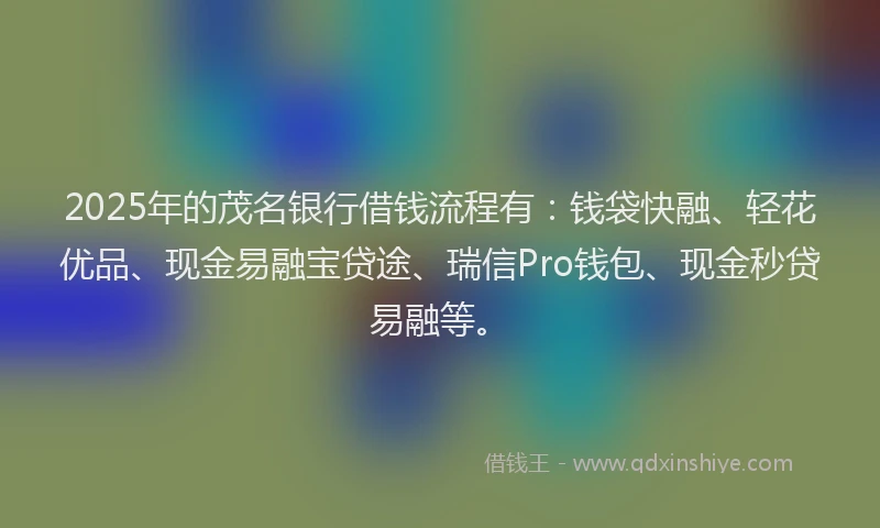 2025年的茂名银行借钱流程有：钱袋快融、轻花优品、现金易融宝贷途、瑞信Pro钱包、现金秒贷易融等。