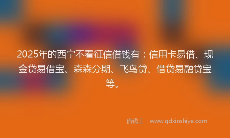 2025年的西宁不看征信借钱有：信用卡易借、现金贷易借宝、森森分期、飞鸟贷、借贷易融贷宝等。