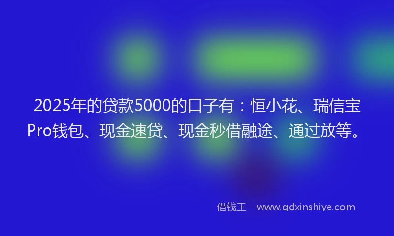 2025年的贷款5000的口子有：恒小花、瑞信宝Pro钱包、现金速贷、现金秒借融途、通过放等。