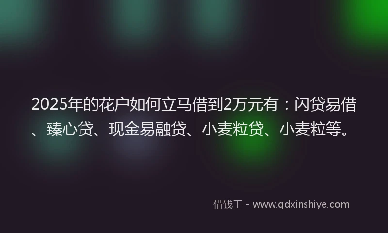 2025年的花户如何立马借到2万元有：闪贷易借、臻心贷、现金易融贷、小麦粒贷、小麦粒等。